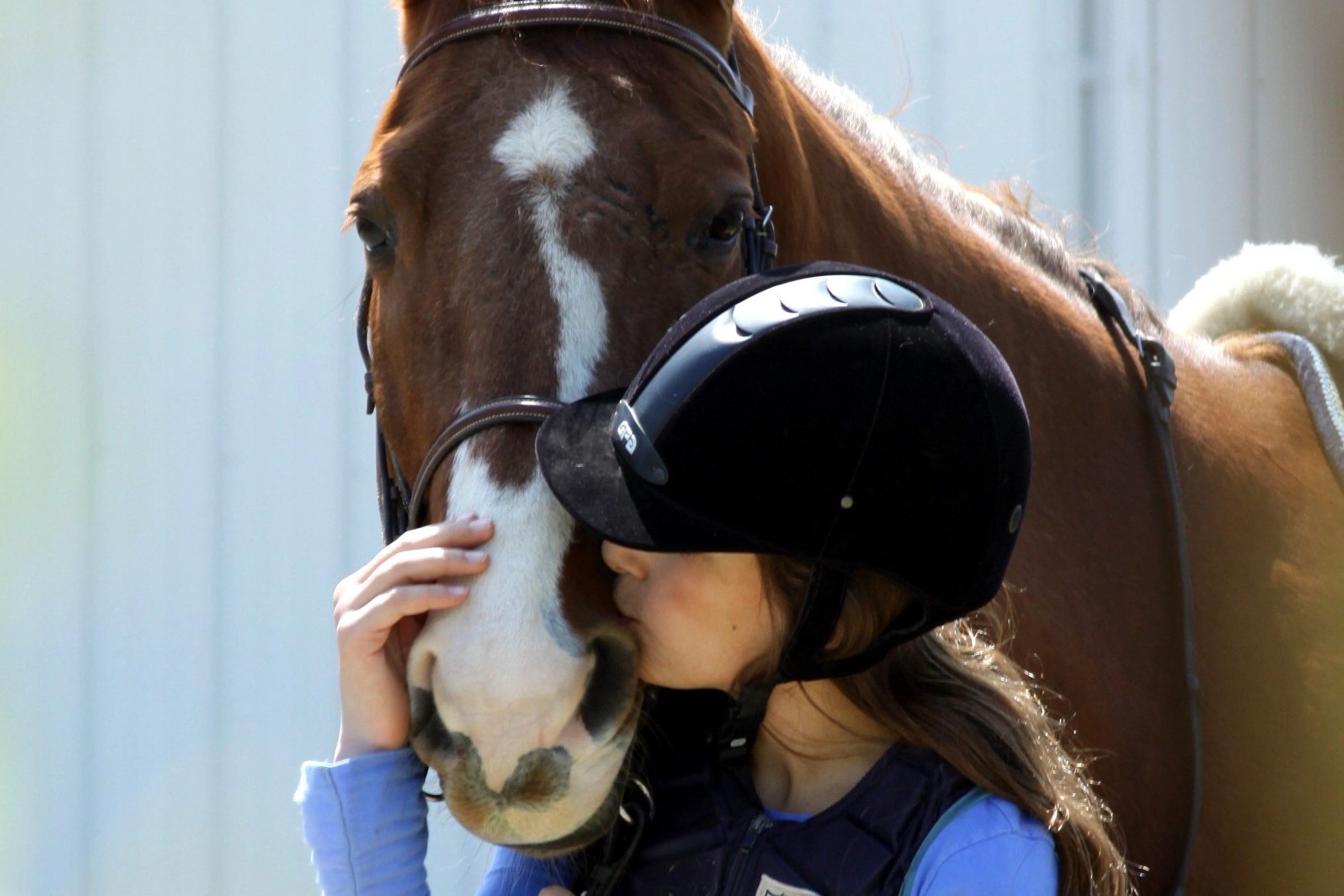 Rockin' Horse Stables